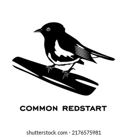 Common redstart logo isolated on white background. Bird sign. Common redstart silhouette. Minimalist bird icons vector illustration
