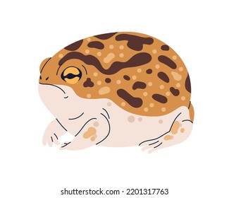 Common sand frog, sandy Tomopterna cryptotis. African amphibian reptile with spots. Exotic tropical wild animal, big ball-shaped froggy. Flat graphic vector illustration isolated on white background