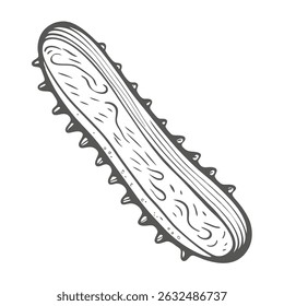 Common Sea Cucumber Holothuria Forskali Line Art