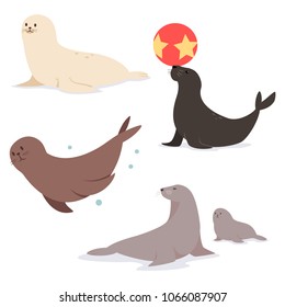 Common seal flat character. Vector set of marine animal isolated on white background.