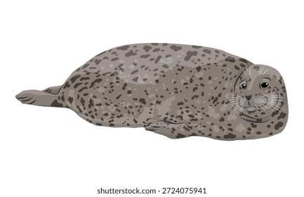 Sello común Phoca vitulina. Animales salvajes. Animal alfileteado realista