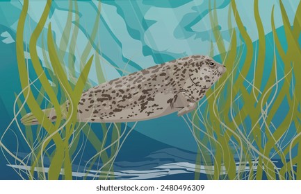 A common seal swims in sea water with algae. Realistic vector landscape