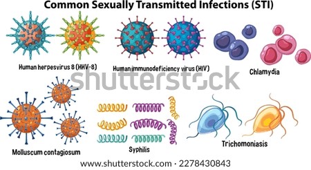 Common Sexually Transmitted Infections (STI) illustration