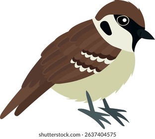 Common sparrow. Small bird in cute cartoon style. Isolated vector clip art illustration.