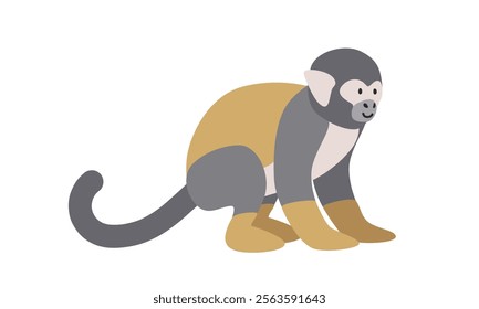 Common squirrel monkey cartoon clipart. Squirrel monkey vector illustration in flat style. New World monkey. Hand-drawn wild animal concept