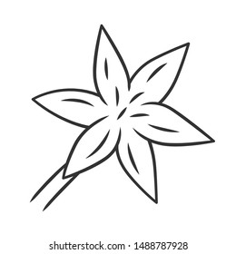 Common star lily linear icon. Thin line illustration. Blooming wildflower. Spring blossom. Toxicoscordion fremontii plant. Meadow deathcamas flower. Star zigadene. Vector isolated outline drawing