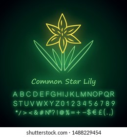 Common star lily neon light icon. Blooming wildflower. Spring blossom. Toxicoscordion fremontii plant inflorescence. Star zigadene. Glowing sign with alphabet, numbers. Vector isolated illustration