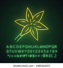 Common star lily neon light icon. Blooming wildflower. Spring blossom. Toxicoscordion fremontii plant. Meadow flower. Star zigadene. Glowing sign with alphabet, numbers. Vector isolated illustration