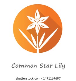 Common star lily orange flat design long shadow glyph icon. Blooming wildflower. Spring blossom. Toxicoscordion fremontii plant. Meadow deathcamas name. Star zigadene. Vector silhouette illustration