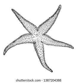 The common starfish is a five rayed star. The central body is called the disk and the arms are the rays. The upper surface may be smooth, granular or spiny, vintage line drawing or engraving