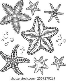 Common starfish or sea star fish under water world nature vector art