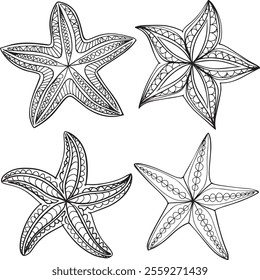 Common starfish or sea star fish under water world nature shilhoette vector set 4