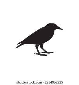 common starling icon vector illustration simple design