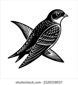 Common Swift .1 Bird, Whit and Black , Illustrator, Image, White Background