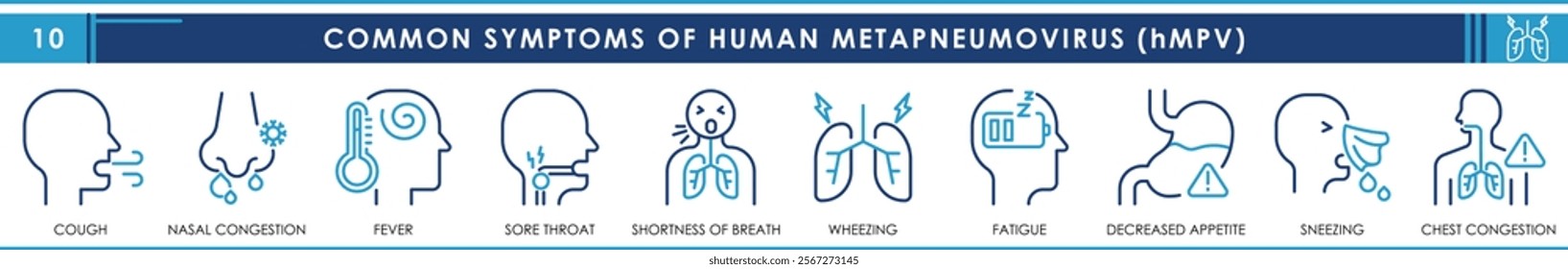 Common symptoms of human metapneumovirus also called hMPV. Icon style. Editable stroke.