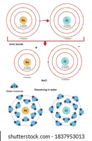 Common table salt, sodium chloride (NaCl) and how it dissolves in water