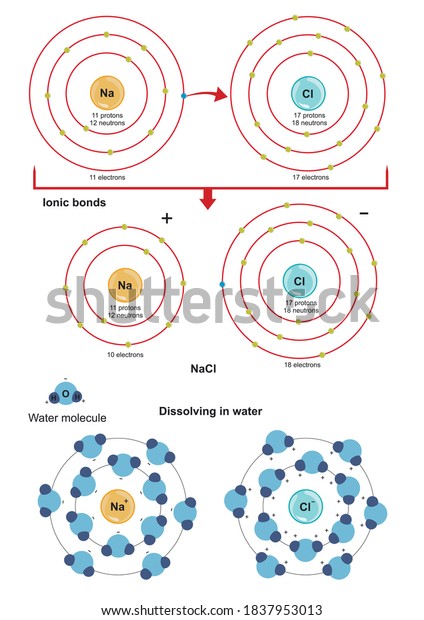 Common Table Salt Sodium Chloride Nacl Stock Vector (Royalty Free ...