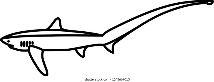 Common Thresher Shark Icon