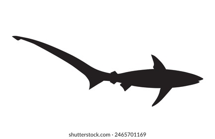 Common thresher shark. Vector black isolated silhouette. 