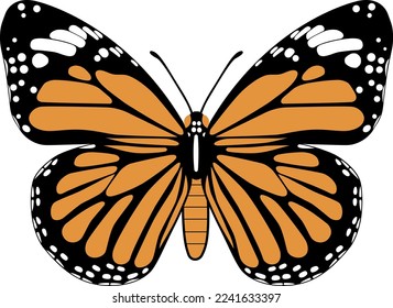 The common tiger butterfly isolated on the white background