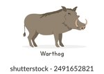 Common warthog vector illustration, cartoon clipart character, animal in flat style. Wild animals, wild creatures, wildlife concept. Warthog vector design isolated on white background