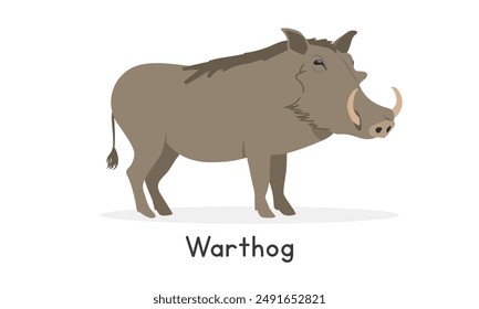 Ilustración vectorial de un personaje Clipart de dibujos animados de jabalí común, animal en estilo plano. Animales salvajes, criaturas salvajes, concepto de vida salvaje. Diseño de Vector de Warthog aislado sobre fondo blanco