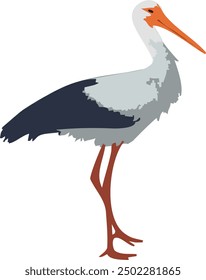 Common white crane with a long orange beak and black wings. Vector illustration A large bird with long legs and a huge beak.