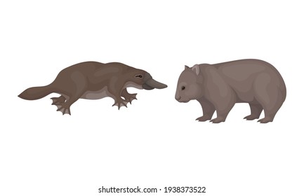 Common Wombat and Duck Billed Platypus as Australian Animals Vector Set