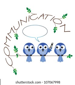 Communication twig text isolated on white background