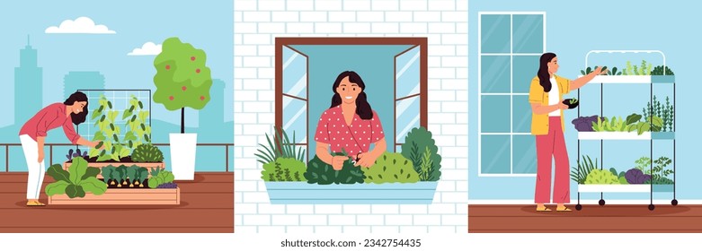 Community garden three square compositions with young women choosing flowers and plants for urban planting flat vector illustration