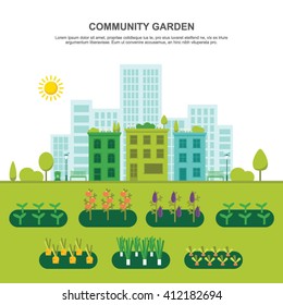 Community vegetable garden flat vector illustration