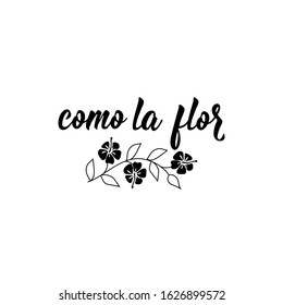 Como la flor. Lettering. Translation from Spanish - As the flower. Element for flyers, banner and posters. Modern calligraphy