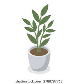 Compact bush houseplant with small dense green leaves in grey ceramic pot in flat vector style