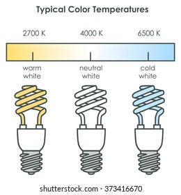 Compact fluorescent light bulbs with typical color temperatures. Vector illustration.