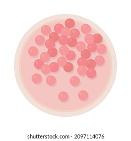 Objeto vector de color semiplano de bolas en polvo compactas. Contenedor abierto con sombra rosa. Artículo realista sobre el blanco. Estilo de vida aislado de dibujos animados modernos ilustración de diseño gráfico y animación