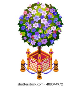 A compact tree in gold pots isolated on white background. Vector illustration.
