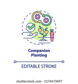 Companion planting concept icon. Planting different crops together. Gardening method abstract idea thin line illustration. Isolated outline drawing. Editable stroke. Arial, Myriad Pro-Bold fonts used
