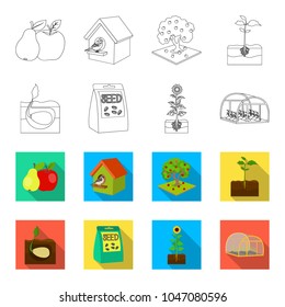Company, ecology, and other web icon in outline,flet style. Husks, fines, garden icons in set collection.