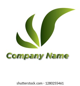 Company Name identity