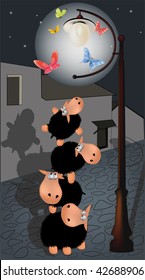 the company of sheep and lantern