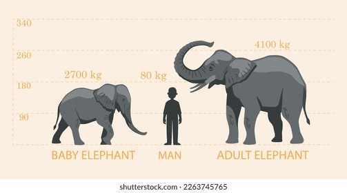 Comparando elefantes con humanos. Niños y adultos junto a la silueta humana, evaluación de la altura y el peso, análisis. Biología y zoología. Safari y vida salvaje. Dibujo vectorial plano de dibujos animados