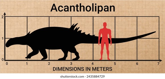 Comparing the size of Acantholipan to the average adult human male (1.8 meters)