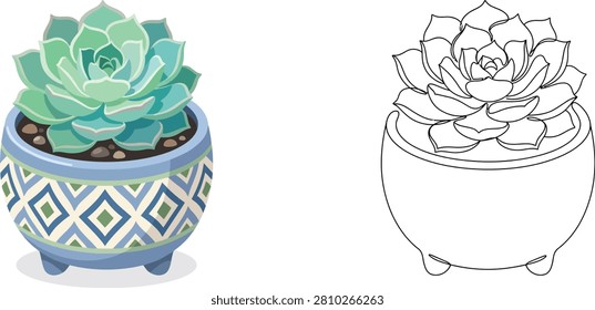 Comparison between a colorful flat vector illustration and a continuous single-line art drawing of a green succulent plant in a patterned ceramic pot.