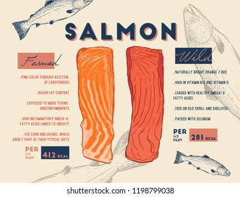 Comparison between wild and farmed salmon filet, where wild salmon has lesser fats and higher color intensity.