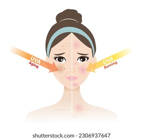 Comparison of damaged skin from UVA and UVB rays on woman face vector on white background. UVA rays cause aging skin, UVB rays cause burning skin. Skin care and beauty concept illustration.
