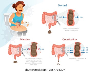 Diagrama comparativo da constipação vs diarreia ao lado da digestão normal com ilustração da mulher sentada no banheiro experimentando desconforto para mostrar os sintomas e as diferenças