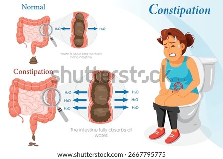 Comparison diagram showing normal digestion versus constipation symptoms with an illustration of a woman sitting on a toilet experiencing strain and discomfort