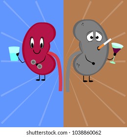 Comparison of the life of a healthy kidney and a sick one. Vector, illustration.
