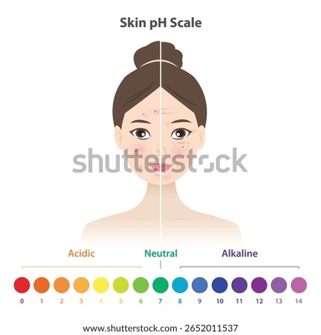 Comparison of low and high skin pH scale on woman face vector illustration. Low skin pH scale is acidic, acne prone, oily skin and inflammation. High pH is alkaline, dry, premature aging and wrinkle.