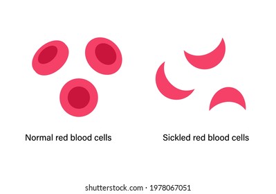 140 Hematocrit structure Images, Stock Photos & Vectors | Shutterstock